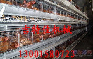 吉特佳山東雞籠廠 專注蛋雞籠與數(shù)控機(jī)床銷(xiāo)售的服務(wù)商